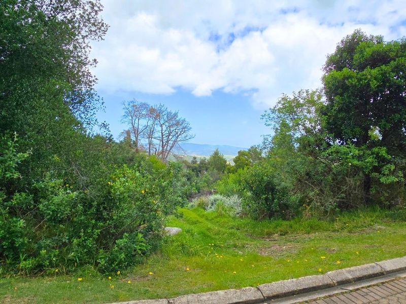 Prime Vacant Stand Overlooking the Golf Course  Simola Golf Estate - Photo 3