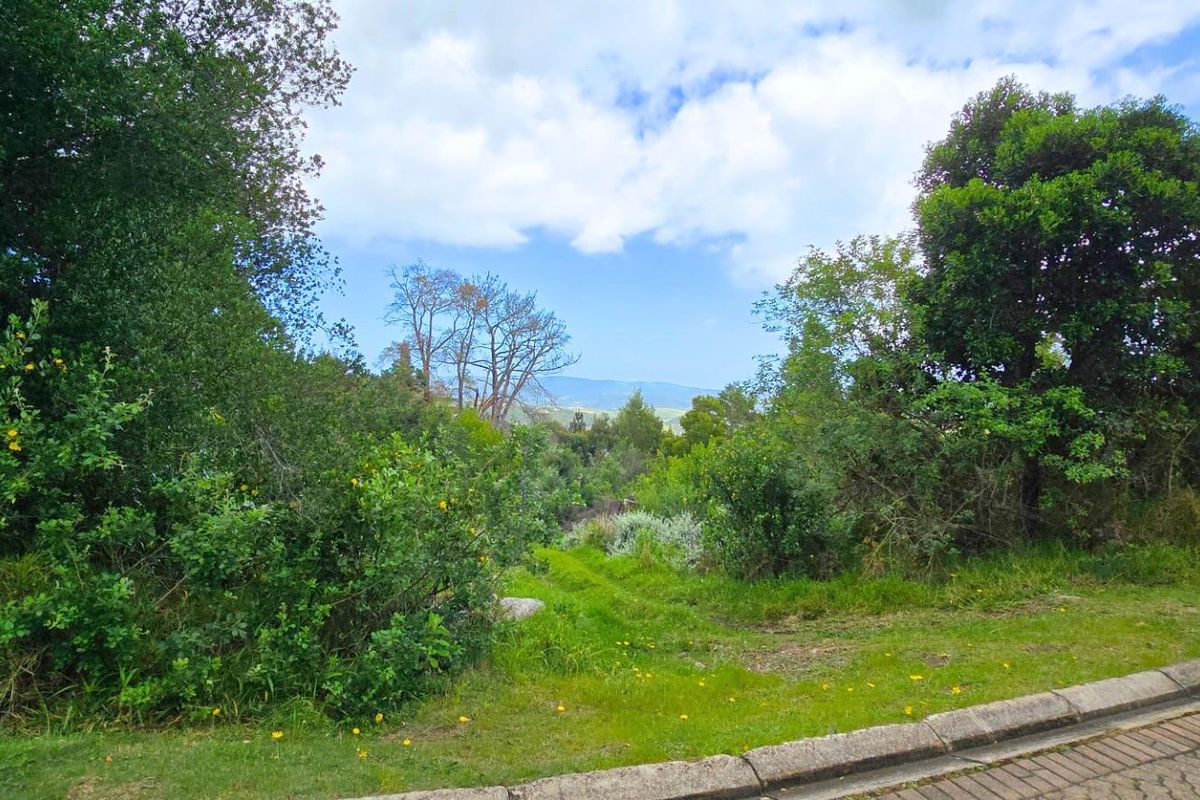 Prime Vacant Stand Overlooking the Golf Course  Simola Golf Estate - Photo 3