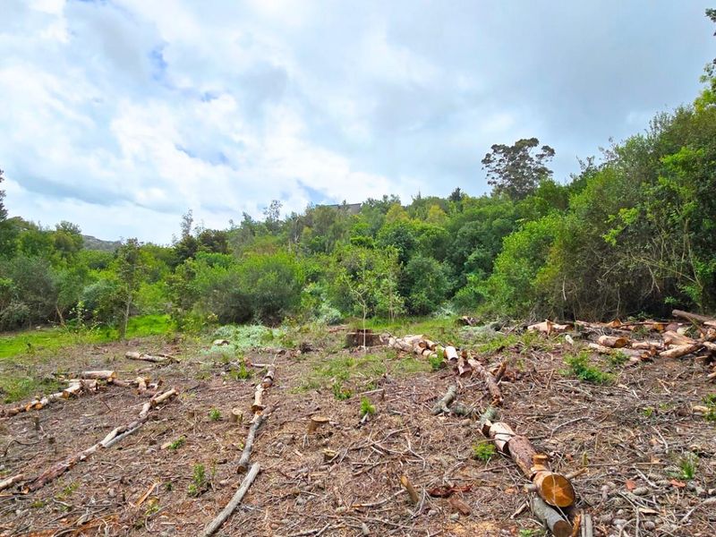 Prime Vacant Stand Overlooking the Golf Course  Simola Golf Estate - Photo 5