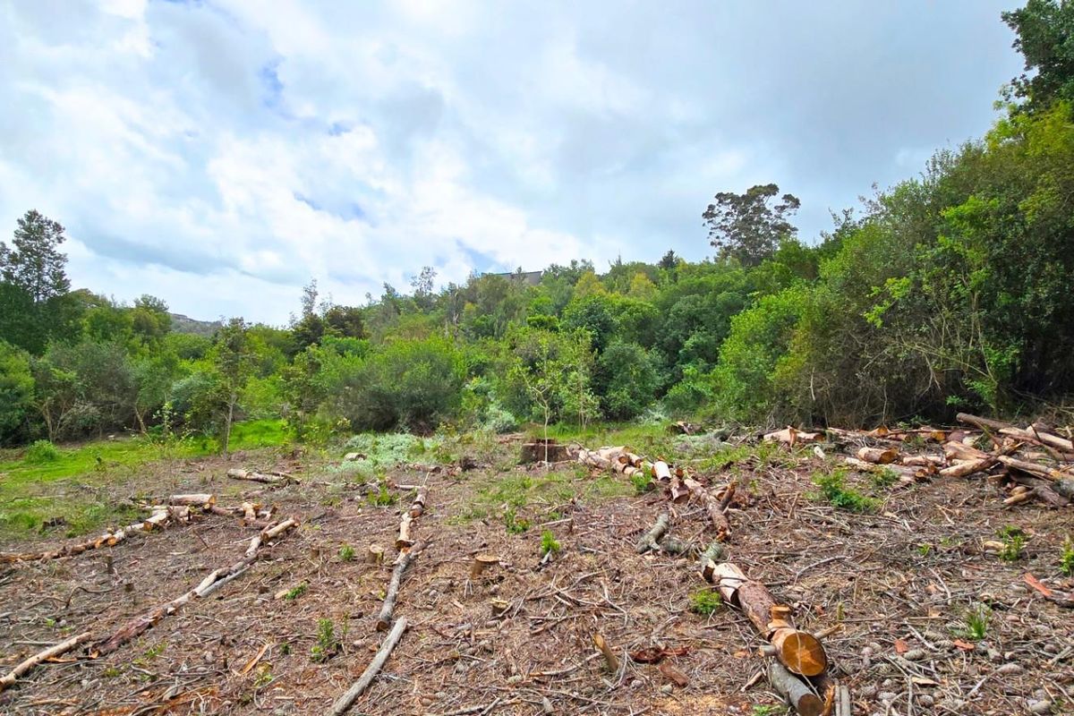 Prime Vacant Stand Overlooking the Golf Course  Simola Golf Estate - Photo 5