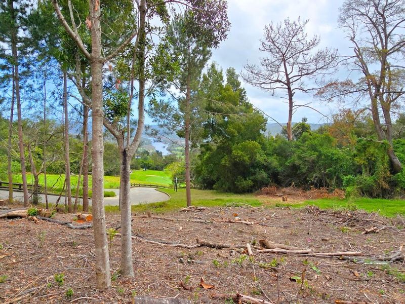 Prime Vacant Stand Overlooking the Golf Course  Simola Golf Estate - Photo 4