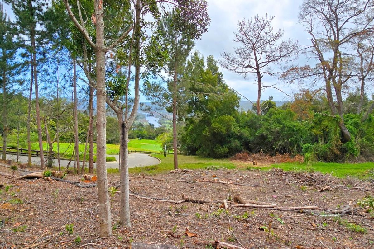 Prime Vacant Stand Overlooking the Golf Course  Simola Golf Estate - Photo 4