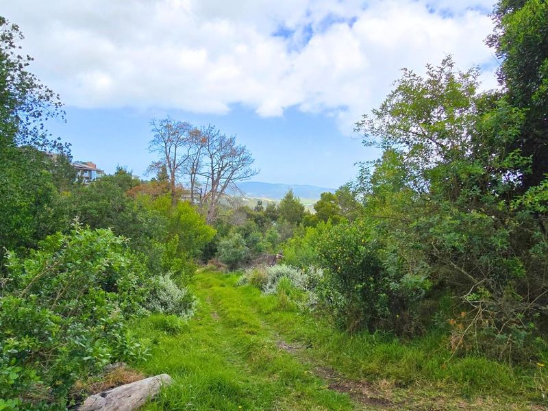Prime Vacant Stand Overlooking the Golf Course  Simola Golf Estate - Photo 2
