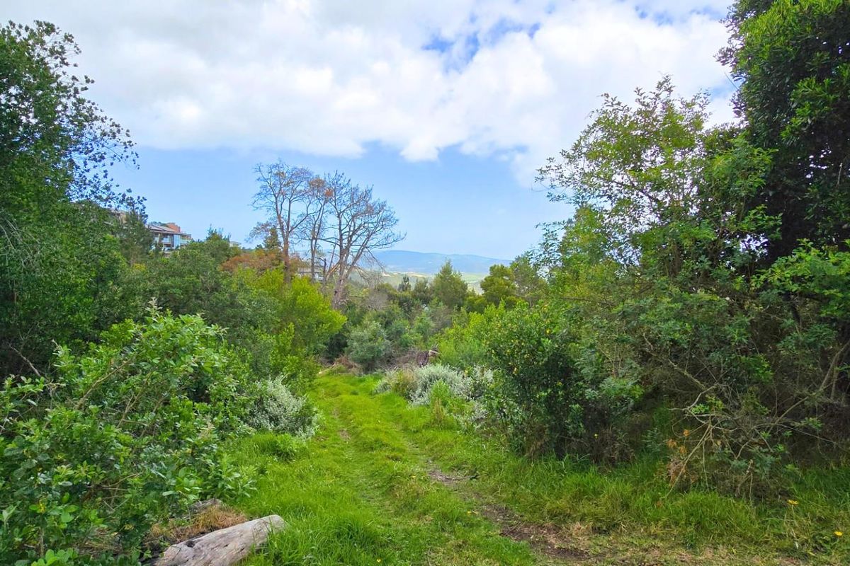 Prime Vacant Stand Overlooking the Golf Course  Simola Golf Estate - Photo 2