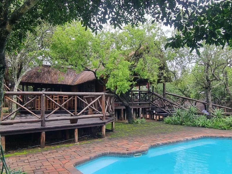 Private Game Farm Eco Reserve and Lodge. 1 184 ha - Photo 4