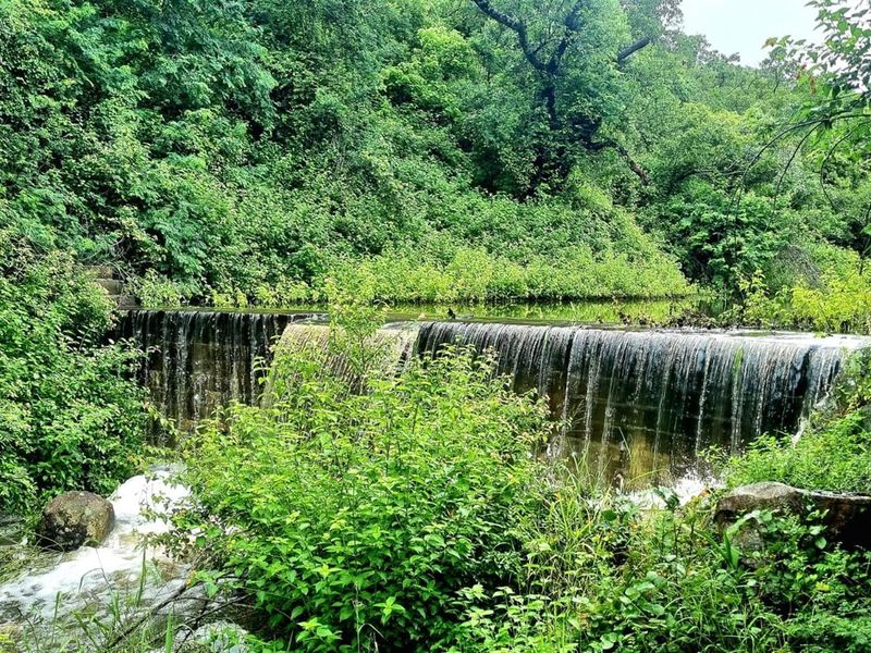 A scenic view of a natural waterfall and stream flowing through lush, green vegetation on the farm property.
