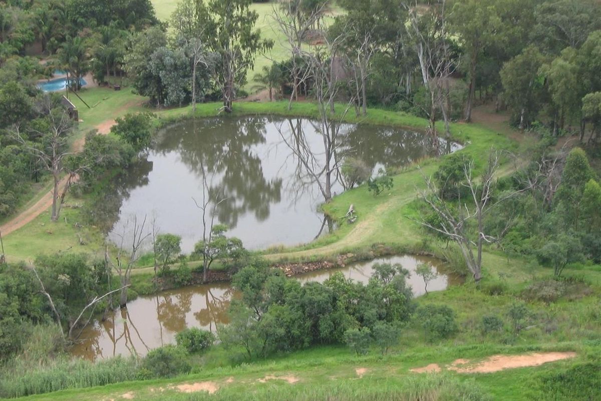 An aerial view of the property grounds featuring natural ponds, mature trees, and expansive green space.