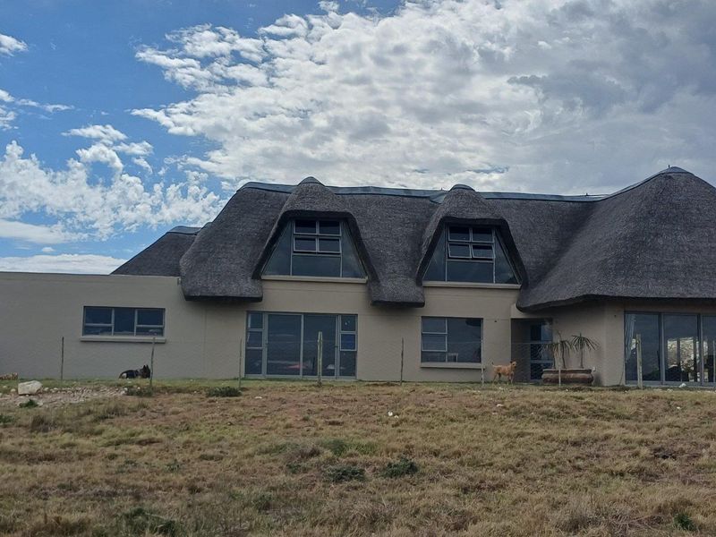 Rear view of a thatched roof house featuring large windows and sliding doors, set against a natural landscape.