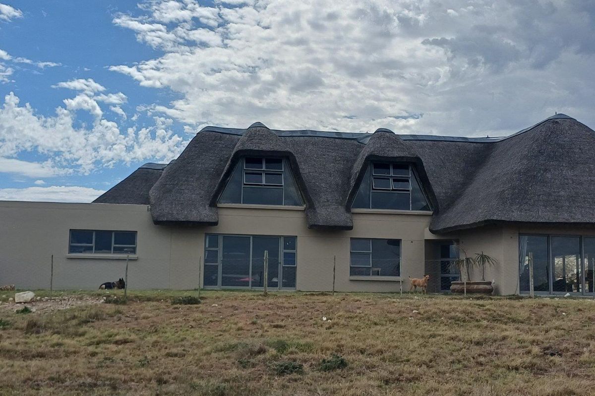 Rear view of a thatched roof house featuring large windows and sliding doors, set against a natural landscape.