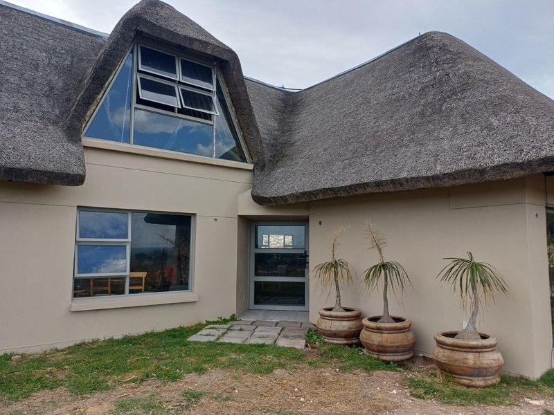 Front exterior view of a modern thatched-roof house featuring large glass windows and a contemporary entrance door.