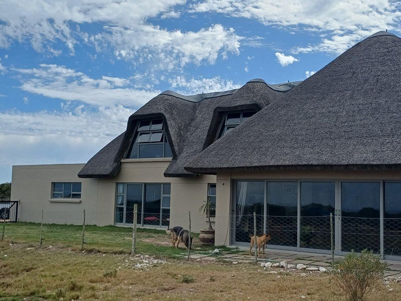 Rear view of a modern house featuring a distinctive thatched roof, large sliding glass doors, and a paved patio area.