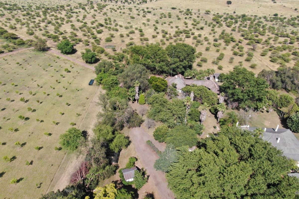 Versatile 21-hectare smallholding for sale near Radium, Bela Bela - Photo 3