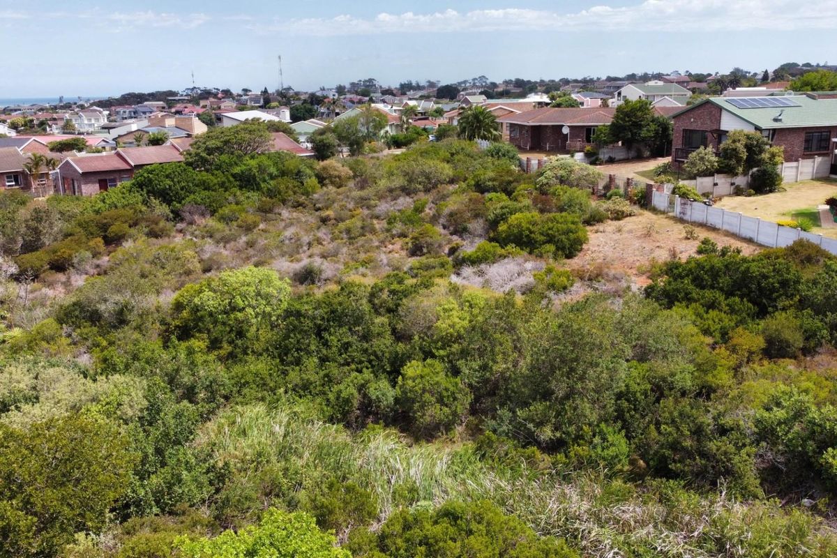 An elevated aerial view of a vacant residential plot covered in dense indigenous coastal vegetation, situated within an established suburban neighborhood.