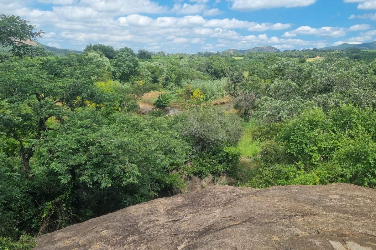 Vacant Farm with 10Ha Water Rights - Photo 4