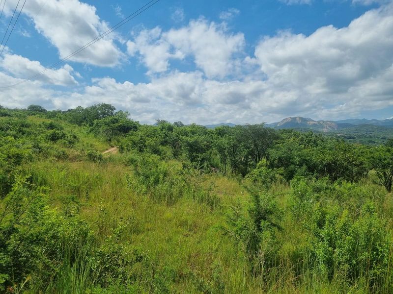A scenic view of the expansive natural landscape and rolling hills on the farm property.