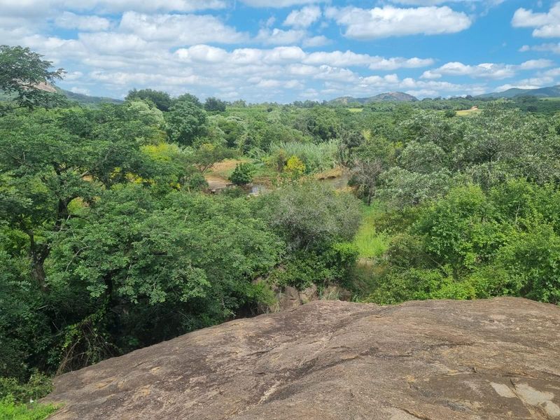 A scenic view overlooking a lush green valley with a river, framed by natural rock formations and dense native vegetation.