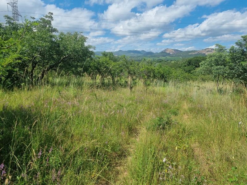 A scenic view of the natural landscape featuring indigenous trees and distant mountains, showcasing the property's rural setting.