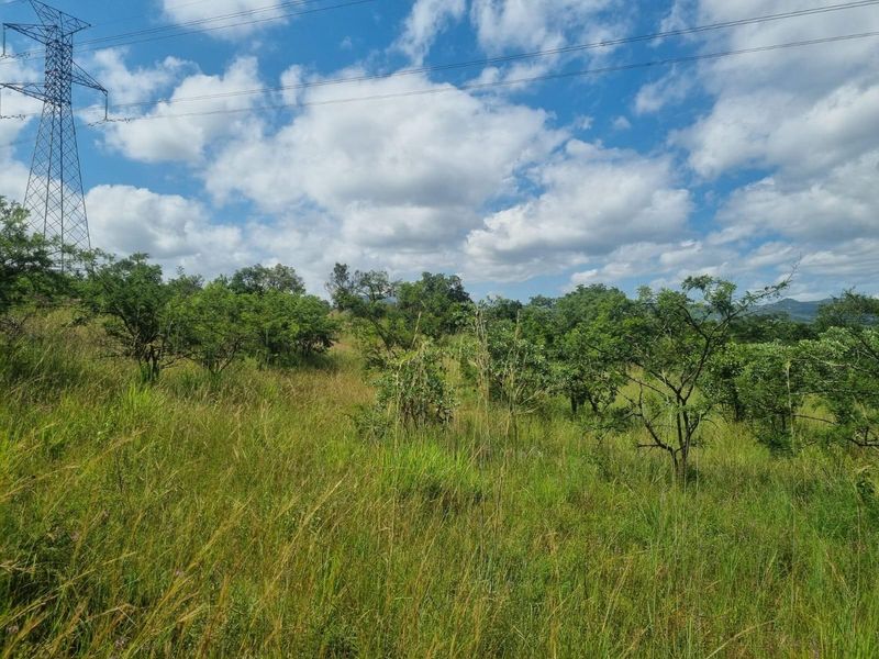A view of the open farm landscape featuring natural vegetation and a prominent electricity pylon structure.
