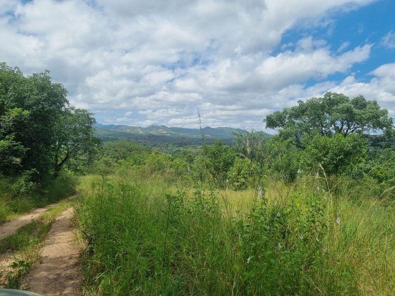 A scenic view of the farm landscape featuring a dirt track winding through lush indigenous vegetation towards distant mountains.