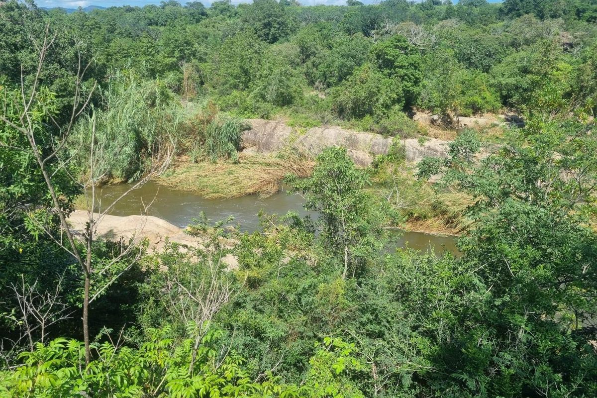 A scenic view of a natural river flowing through a lush, green landscape with prominent rock formations and dense surrounding forest.