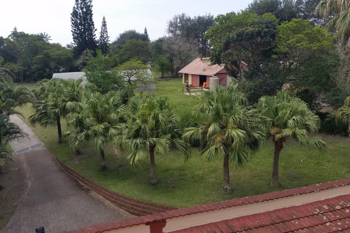 Elevated view of the small holding grounds featuring a paved driveway, mature palm trees, expansive lawn, and a secondary outbuilding structure.