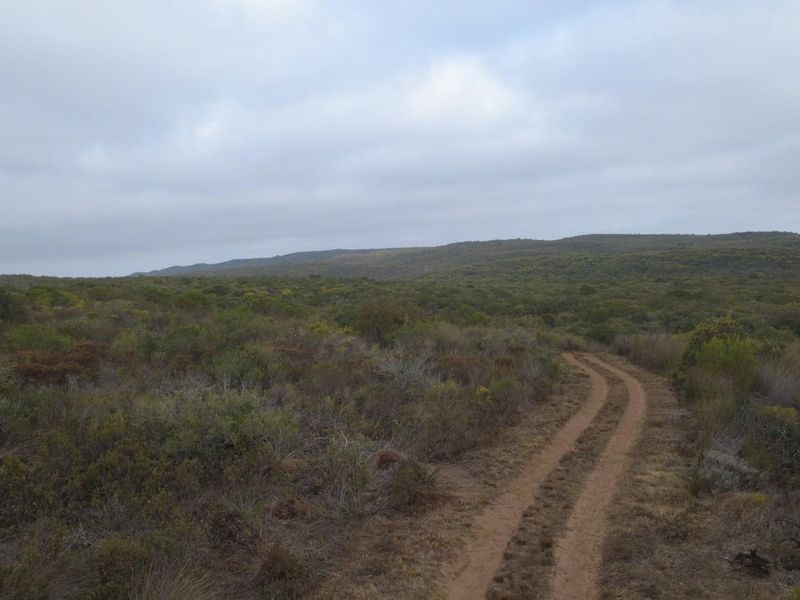 Farm For Sale Gouritsmond - Photo 8