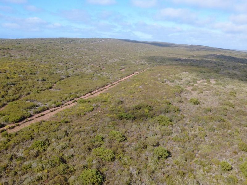 Farm For Sale Gouritsmond - Photo 7