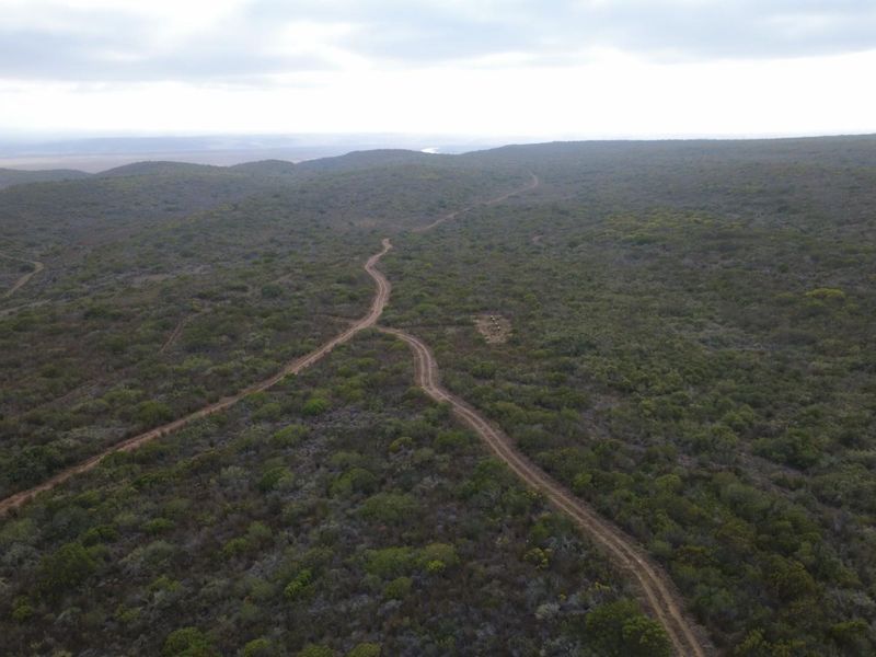 Farm For Sale Gouritsmond - Photo 6