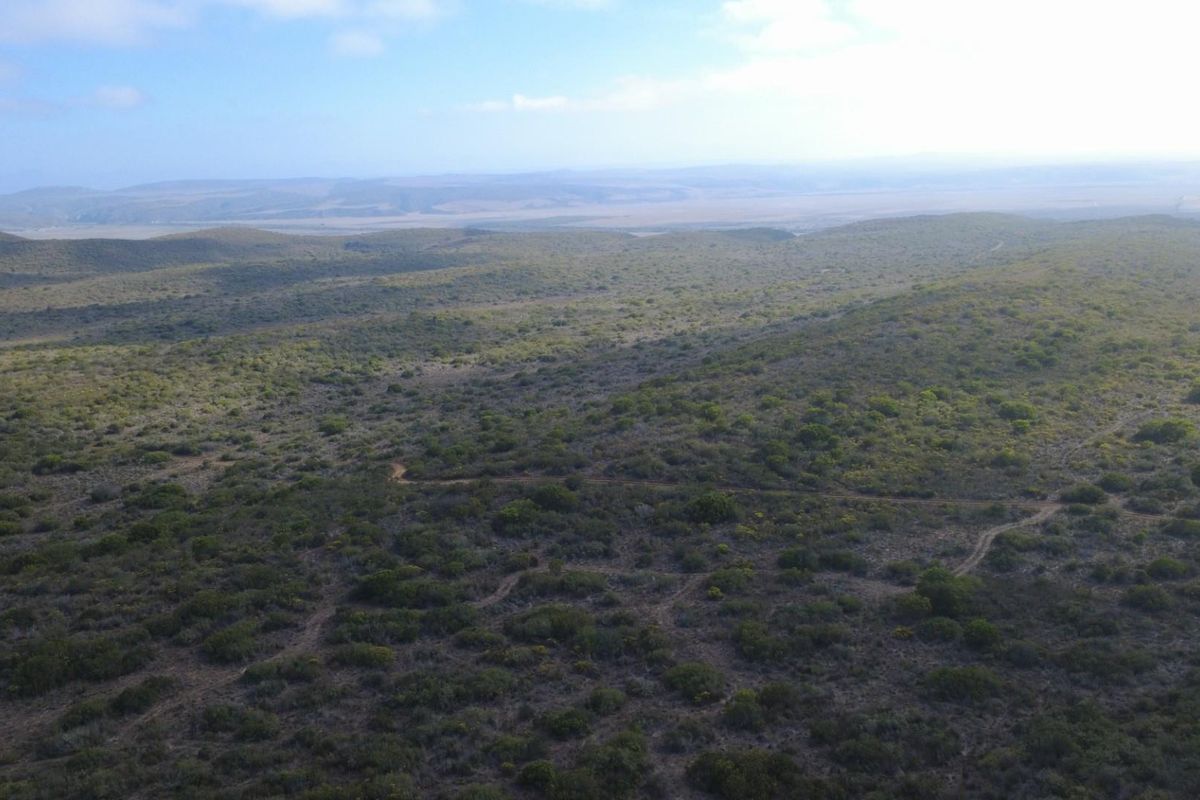 Farm For Sale Gouritsmond - Photo 2