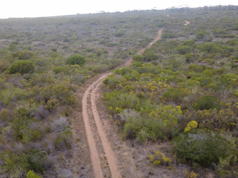 Farm For Sale Gouritsmond - Photo 10