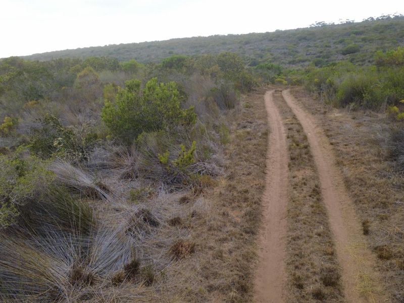 Farm For Sale Gouritsmond - Photo 9