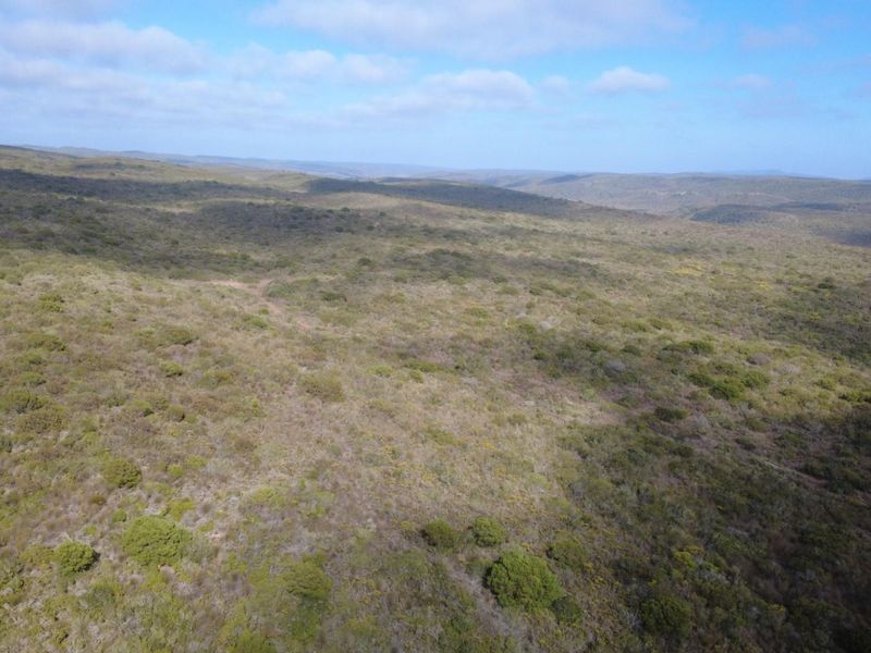 Farm For Sale Gouritsmond - Photo 5