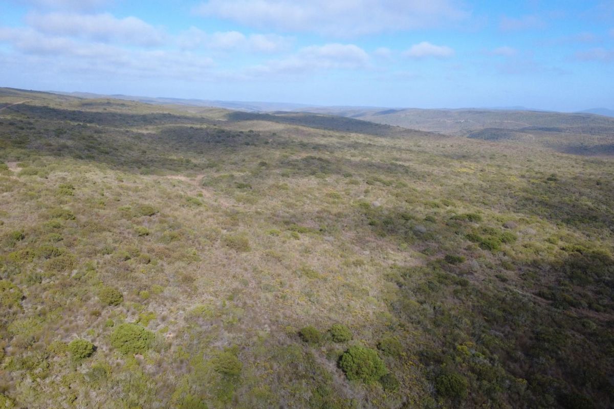 Farm For Sale Gouritsmond - Photo 5