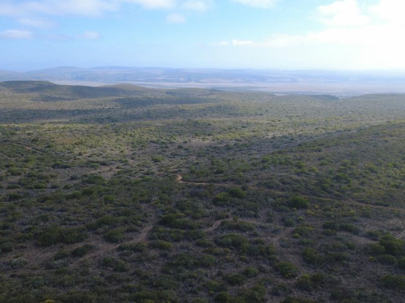 Farm For Sale Gouritsmond - Photo 4