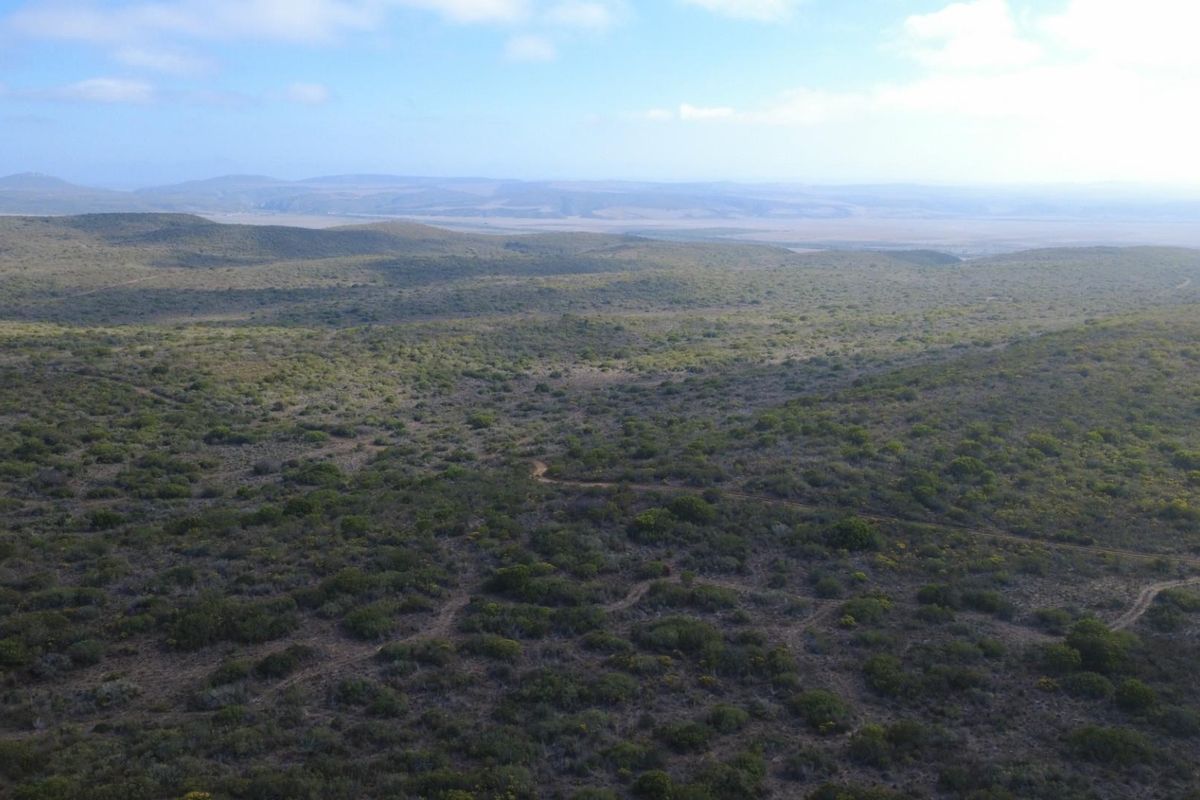 Farm For Sale Gouritsmond - Photo 4