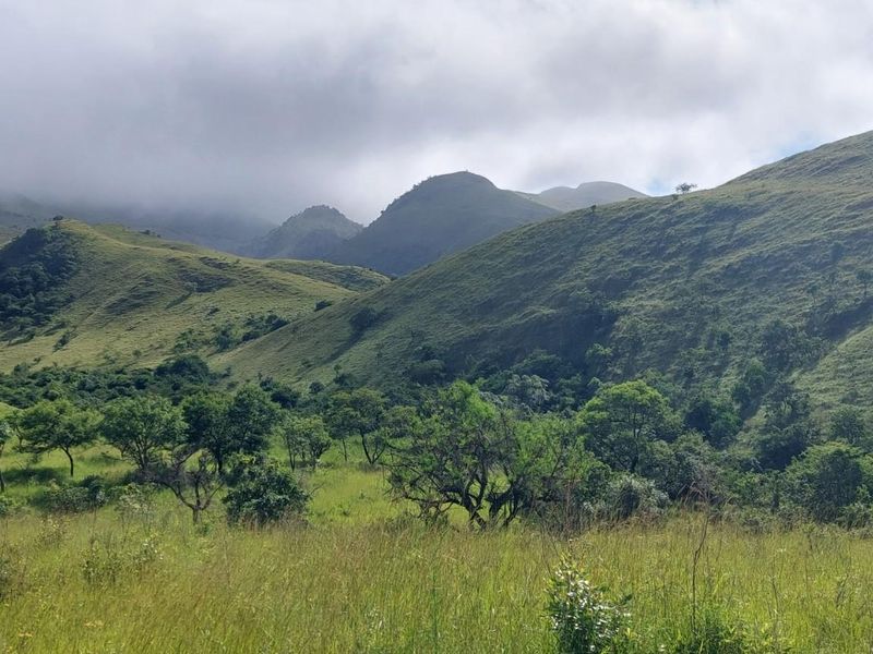 Stands for Sale - Mountainlands Nature Reserve - Photo 5