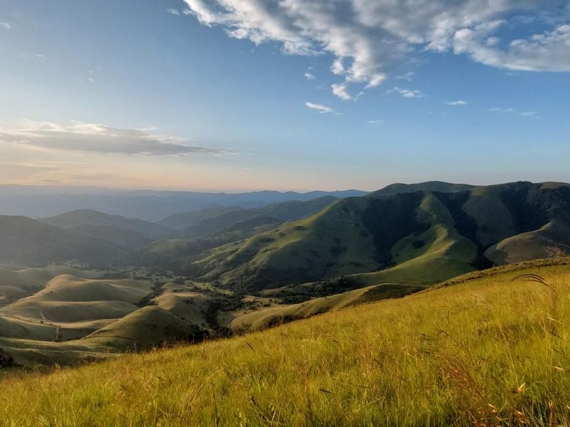 Stands for Sale - Mountainlands Nature Reserve - Photo 4