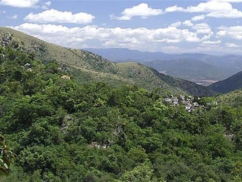 Stands for Sale - Mountainlands Nature Reserve - Photo 7