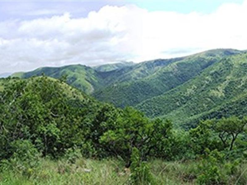 Stands for Sale - Mountainlands Nature Reserve - Photo 8