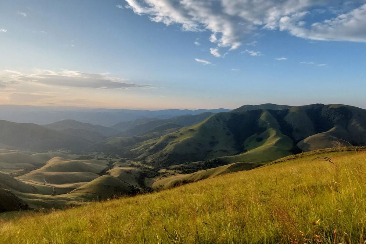 Stands for Sale - Mountainlands Nature Reserve - Photo 5