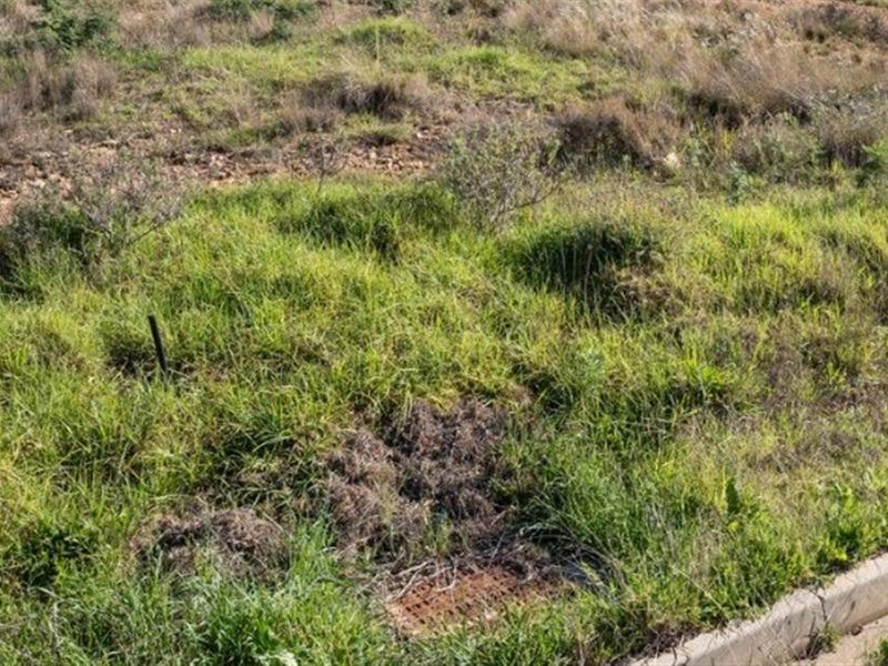 Vacant Land For Sale in Dundee, KwaZulu Natal - Photo 3