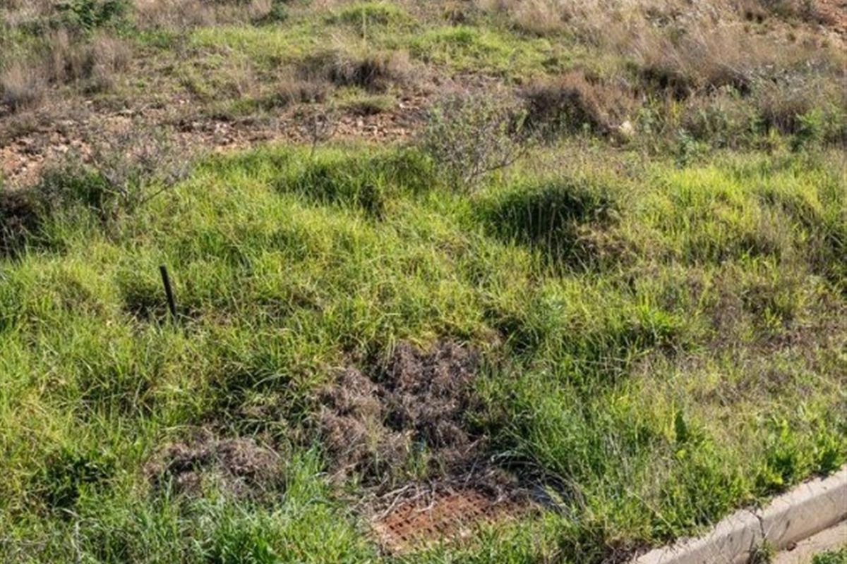 Vacant Land For Sale in Dundee, KwaZulu Natal - Photo 3