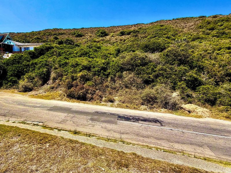 Priced to Sell Plot Near Beach and River | Listed by Danté Koen + Tanya Ruppersburg, eXp Realty - Photo 4