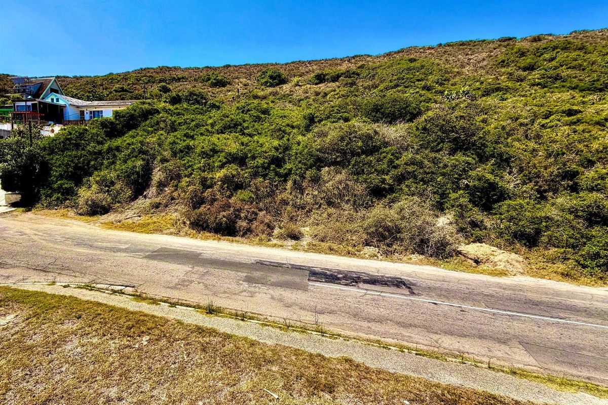 Priced to Sell Plot Near Beach and River | Listed by Danté Koen + Tanya Ruppersburg, eXp Realty - Photo 4