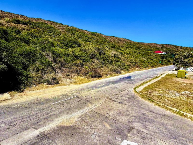 Priced to Sell Plot Near Beach and River | Listed by Danté Koen + Tanya Ruppersburg, eXp Realty - Photo 2