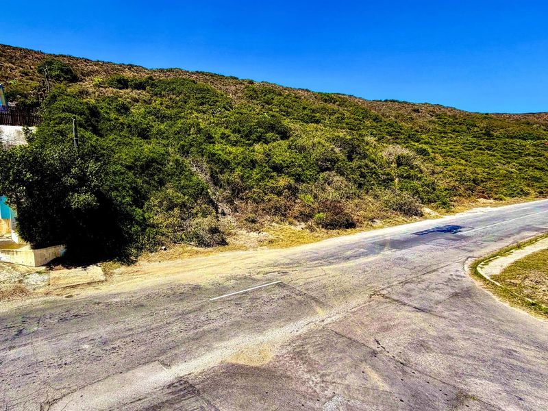 Priced to Sell Plot Near Beach and River | Listed by Danté Koen + Tanya Ruppersburg, eXp Realty - Photo 3