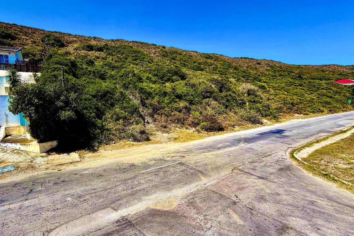 Priced to Sell Plot Near Beach and River | Listed by Danté Koen + Tanya Ruppersburg, eXp Realty - Photo 3