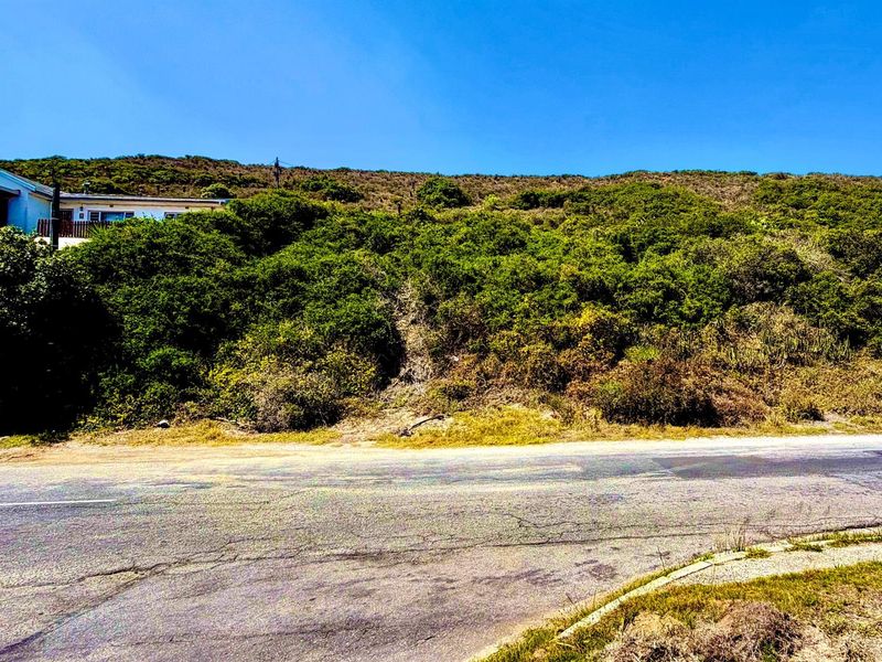 Priced to Sell Plot Near Beach and River | Listed by Danté Koen + Tanya Ruppersburg, eXp Realty - Photo 6