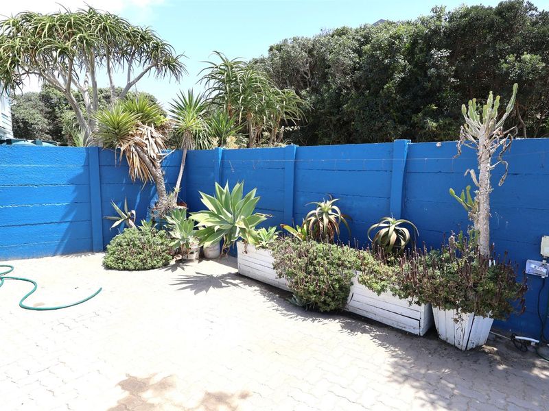 A private rear courtyard area featuring paved flooring, established garden beds, and a painted concrete boundary wall.
