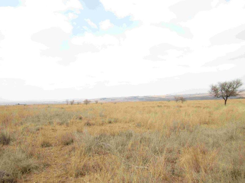 23HA PROPERTY FOR SALE IN NATURE RESERVE - Photo 8